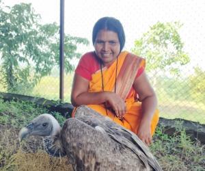 मेळघाटहून बीडमध्ये आले दुर्मिळ ‘लाँग-बिल्ड व्हल्चर’; सर्पराज्ञीत उपचार सुरू