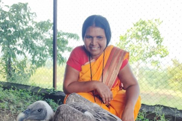 मेळघाटहून बीडमध्ये आले दुर्मिळ ‘लाँग-बिल्ड व्हल्चर’; सर्पराज्ञीत उपचार सुरू